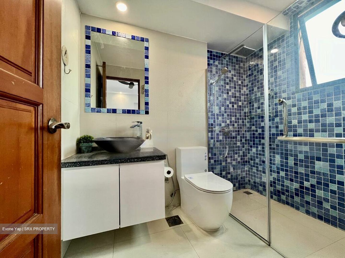 Simsville (D14), Condominium #504656511